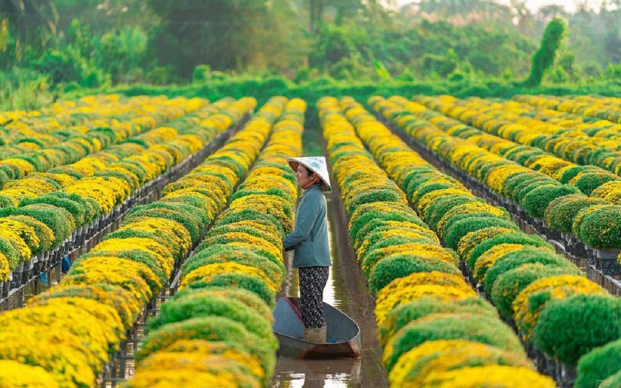 Giới thiệu về Đồng Tháp