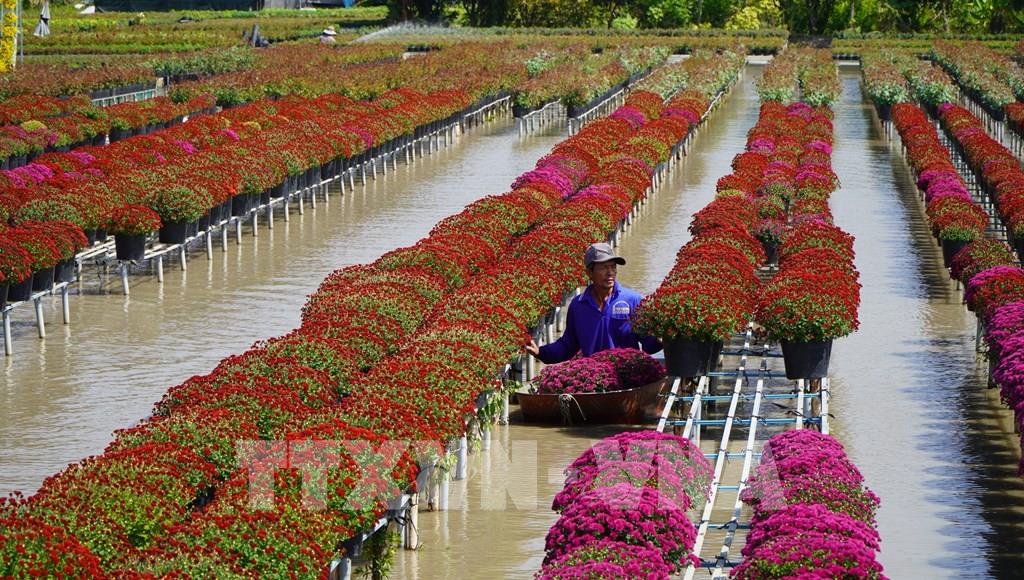 Khí hậu và thời tiết Đồng Tháp