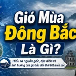 Gió Mùa Đông Bắc Là Gì? Hiểu Rõ Nguồn Gốc, Đặc Điểm và Ảnh Hưởng Của Gió Bấc Đến Thời Tiết Miền Bắc