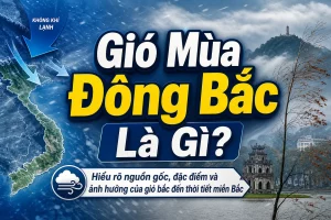 Gió Mùa Đông Bắc Là Gì? Hiểu Rõ Nguồn Gốc, Đặc Điểm và Ảnh Hưởng Của Gió Bấc Đến Thời Tiết Miền Bắc