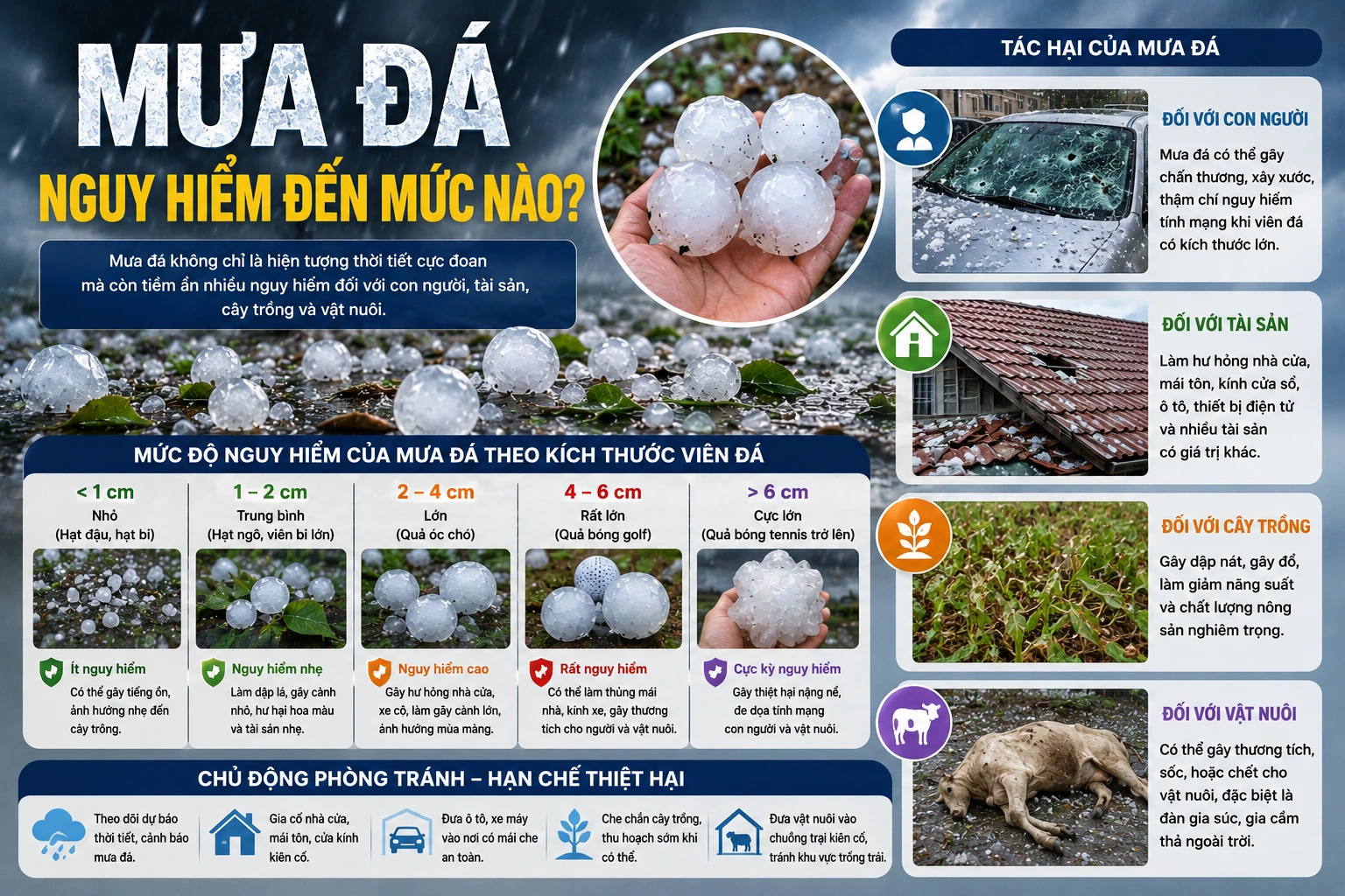 Mưa đá nguy hiểm như thế nào?