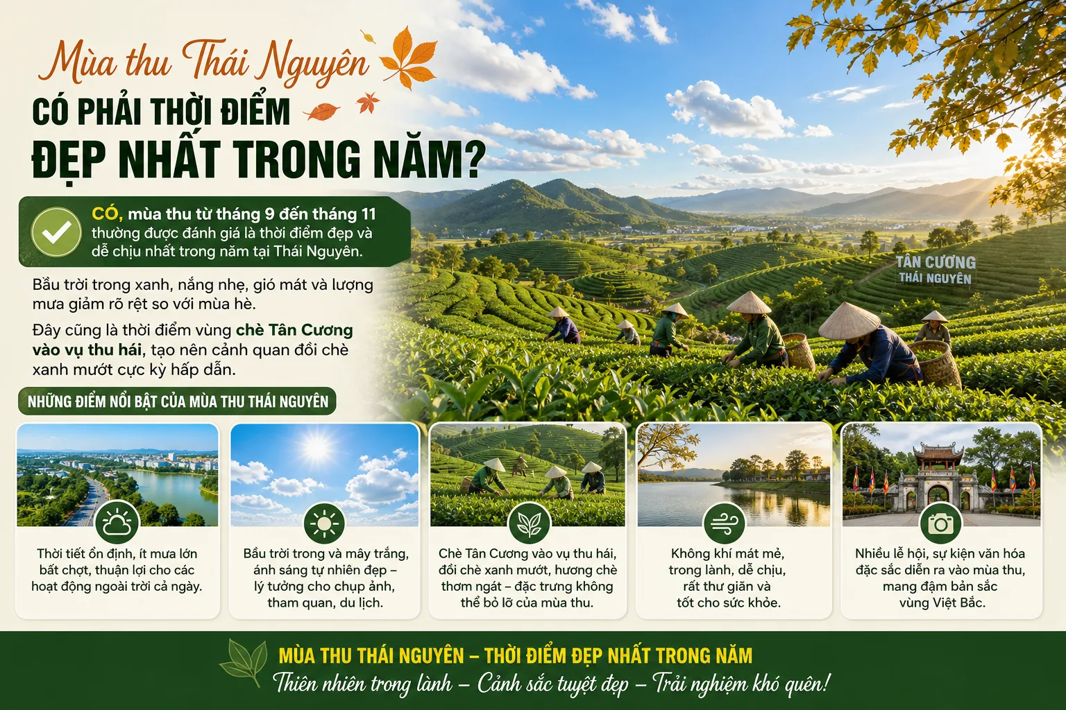 Mùa thu Thái Nguyên có phải thời điểm đẹp nhất trong năm không?